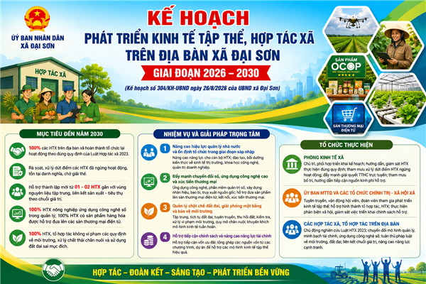 Đại Sơn triển khai kế hoạch phát triển kinh tế tập thể, hợp tác xã giai đoạn 2026 – 2030