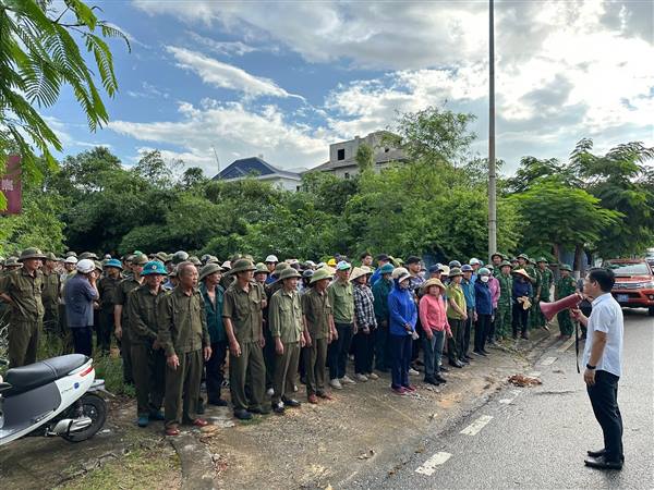 Phường Đồ Sơn Ra Quân Vệ Sinh Môi Trường Rừng Và Thu Dọn Cây Gãy Đổ Sau Bão Tại Đồi 46
