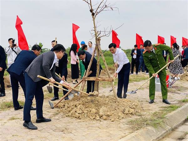 Đông Hải phát động “Tết trồng cây” Xuân Bính Ngọ 2026, tạo khí thế thi đua ngay ngày làm việc đầu năm
