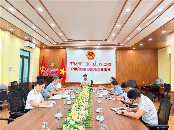 PHƯỜNG DƯƠNG KINH RÀ SOÁT QUỸ ĐẤT NÔNG NGHIỆP SỬ DỤNG VÀO MỤC ĐÍCH CÔNG ÍCH VÀ CÁC KHU VỰC BÃI BỒI, BẾN BÃI
