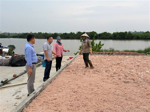 Hội Nông dân phường Dương Kinh tuyên truyền, hỗ trợ định danh sản phẩm trên nền tảng số cho hội viên tại tổ dân phố Thuỷ Giang