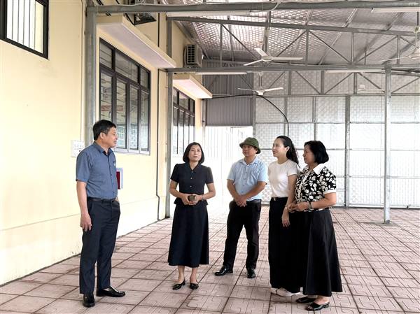 Phường Dương Kinh kiểm tra cơ sở vật chất, chuẩn bị năm học mới 2026 - 2027