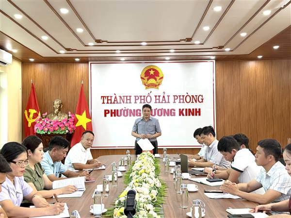Phường Dương Kinh triển khai chương trình đi bộ “Cùng Việt Nam tiến bước” năm 2026