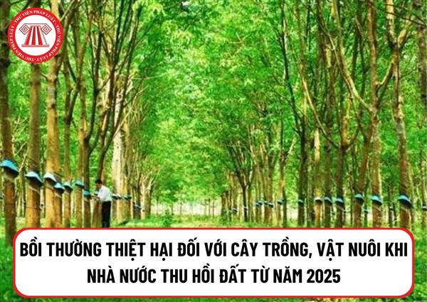 Quyết định ban hành đơn giá bồi thường thiệt hại đối với cây trồng, vật nuôi khi Nhà nước thu hồi đất trên địa bàn thành phố Hải Phòng.