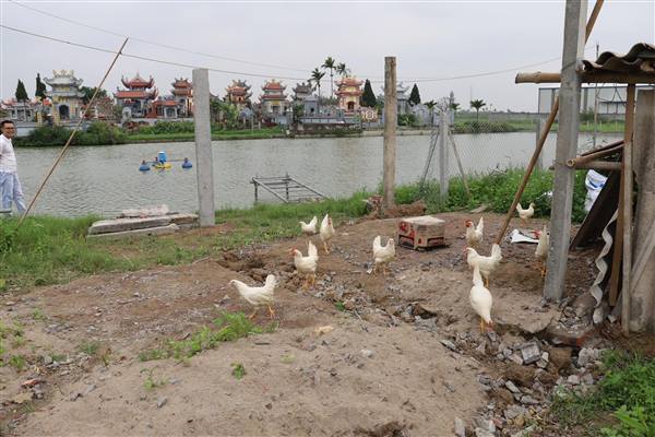 Hộ gia đình tại thôn An Tân tháo dỡ công trình vi phạm trên đất nông nghiệp