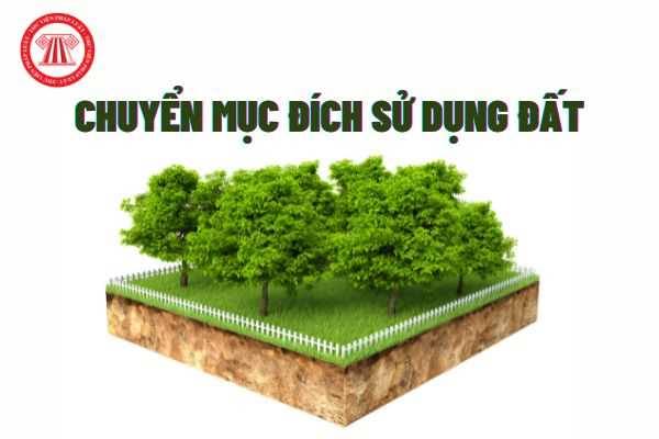 Cho phép chuyển mục đích sử dụng đất, bà Trịnh Thị Thắm
