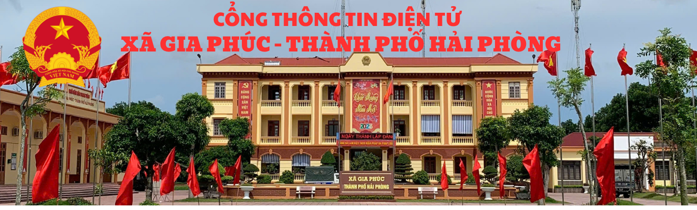 image banner