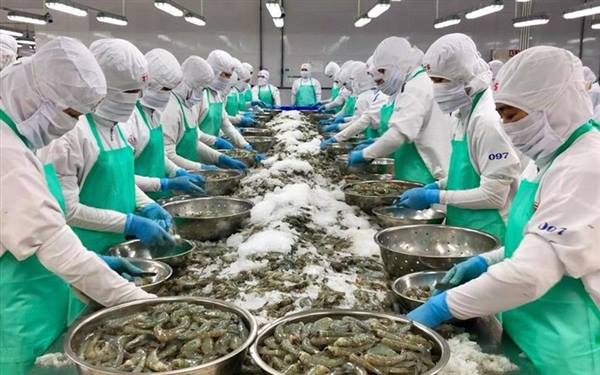 Kế hoạch triển khai giải pháp ứng phó với biến động giá nhiên liệu và chi phí đầu vào trong nuôi trồng thủy sản trên địa bàn xã
