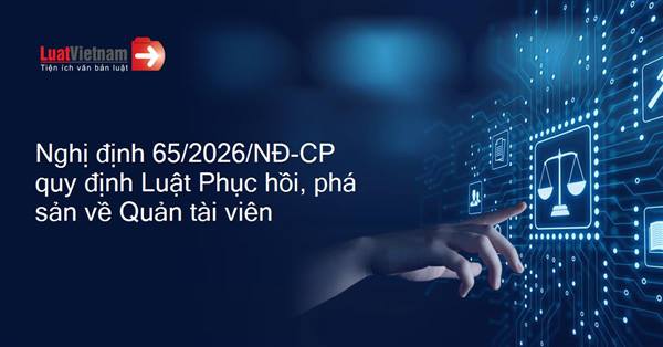Nghị định số 65/2026/NĐ-CP của Chính phủ: Quy định chi tiết một số điều và biện pháp thi hành Luật Phục hồi, phá sản về Quản tài viên và hành nghề quản lý, thanh lý tài sản