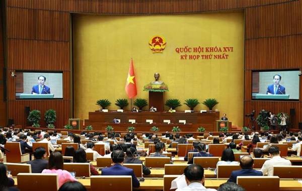 Kết quả kỳ họp thứ Nhất, Quốc hội khóa XVI
