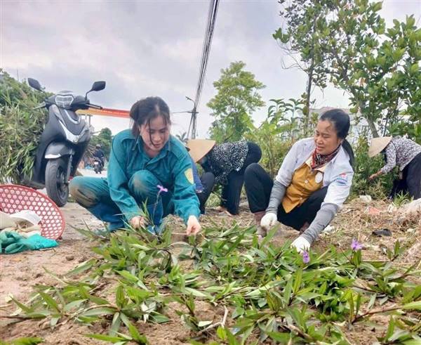 Hội nông dân xã Hà Bắc ra quân dọn vệ sinh môi trường và trồng mới tuyến đường hoa