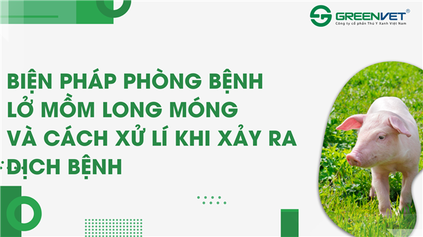 HƯỚNG DẪN MỘT SỐ BIỆN PHÁP KỸ THUẬT PHÒNG CHỐNG DỊCH BỆNH LMLM TRÊN ĐÀN VẬT NUÔI