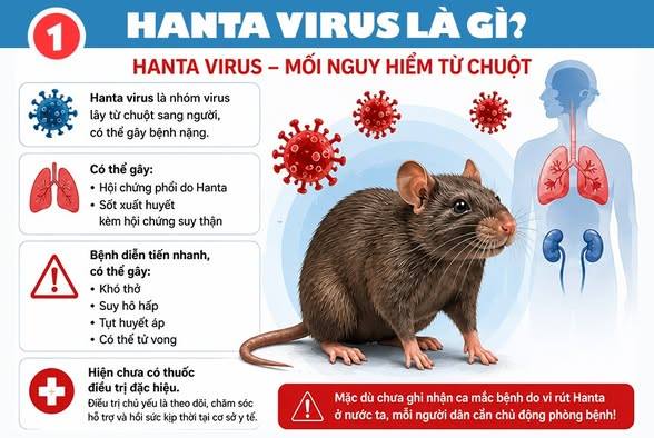 Chủ động phòng ngừa bệnh do Virus Hanta.
