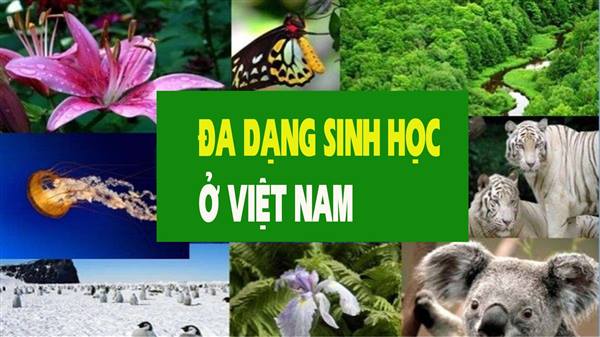 Kế hoạch tổ chức các hoạt động hưởng ứng ngày Quốc tế
đa dạng sinh học năm 2026 trên địa bàn xã 
