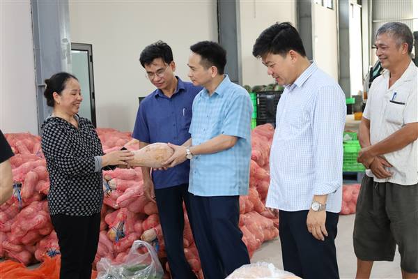 Đồng chí Phạm Văn Hùng- Bí thư Đảng ủy, Chủ tịch HĐND xã đi thăm, kiểm tra một số mô hình sản xuất Nông nghiệp trên địa bàn