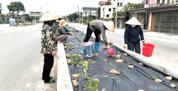 MẶT TRẬN TỔ QUỐC VÀ CÁC ĐOÀN THỂ XÃ HÀ BẮC: ĐIỂM SÁNG TRONG PHONG TRÀO XÂY DỰNG "TUYẾN ĐƯỜNG HOA"  XANH - SẠCH - ĐẸP