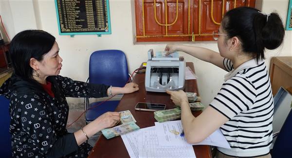 Xã Hà Bắc chi trả tiền bồi thường, hỗ trợ tài sản cây cối trên đất bị thu hồi để thực hiện dự án án Cải tạo, nâng cấp đường huyện Cẩm Chế - Thanh Xuân.