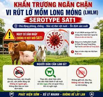 Xã Hà Bắc tăng cường phòng chống bệnh Lở mồm long móng trên đàn vật nuôi