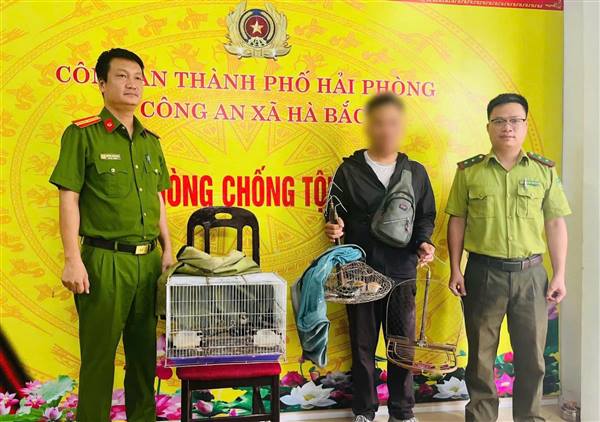 Công an xã Hà Bắc kiên quyết xử lý nạn bẫy bắt chim hoang dã