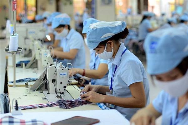 Pháp luật quy định thế nào về quyền lợi của công nhân khi làm việc tại công ty?