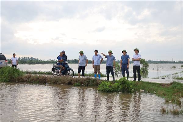 Thường trực Đảng ủy xã Hà Bắc kiểm tra chỉ đạo công tác tiêu, chống úng bảo vệ sản xuất và hoa màu