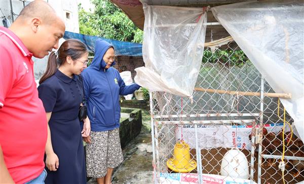 Hà Bắc: Hiệu quả từ mô hình hỗ trợ gà giống cho người dân trên địa bàn xã