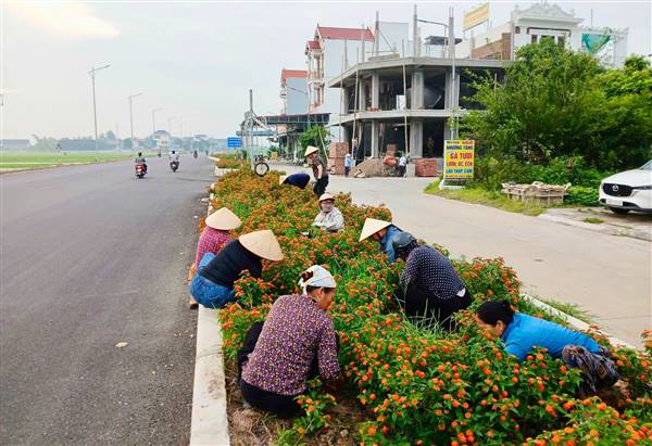 SẮC HOA BỪNG SÁNG ĐƯỜNG QUÊ VÀ BÀN TAY CHĂM SÓC CỦA HỘI PHỤ NỮ XÃ HÀ BẮC