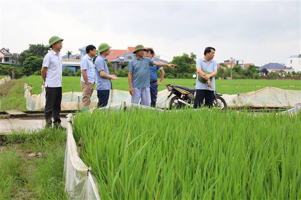 Xã Hà Bắc tiếp tục, chủ động phòng ngừa, ứng phó với diễn biến bão số 4 và mưa, lũ trên địa bàn
