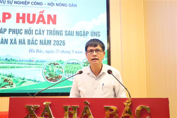Xã Hà Bắc: Hơn 100 nông dân được tập huấn hướng dẫn các biện pháp phục hồi cây trồng sau ngập úng