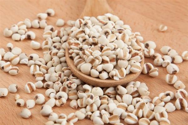 Bộ Y tế thu hồi dược liệu Ý dĩ không đạt tiêu chuẩn chất lượng