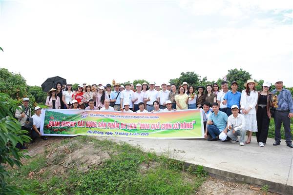 Khảo sát xây dựng tour trải nghiệm 'Mùa quả chín xứ Đông'

