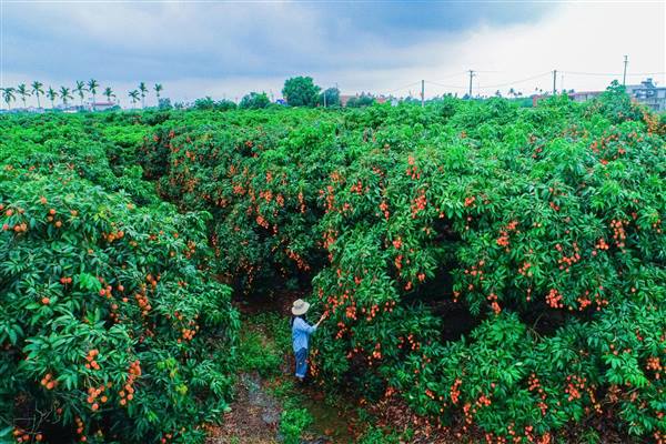 Xã Hà Đông phấn đấu tăng trưởng trên 10%/năm, huy động hơn 300 tỷ đồng đầu tư hạ tầng giai đoạn 2026 – 2030