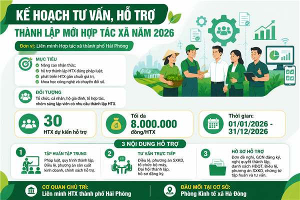 Hải Phòng hỗ trợ thành lập mới 30 hợp tác xã trong năm 2026