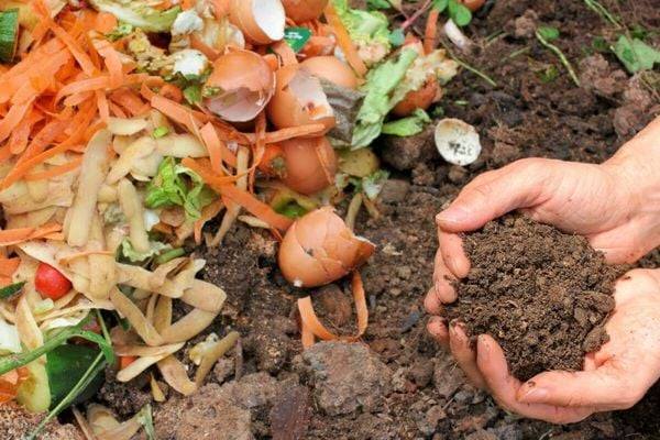 Chia sẻ kinh nghiệm làm phân bón hữu cơ theo phương pháp Bokashi