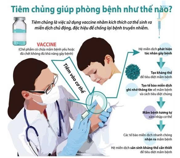 UBND xã Hà Tây ban hành Kế hoạch triển khai chương trình tiêm chủng mở rộng giai đoạn 2026 - 2028