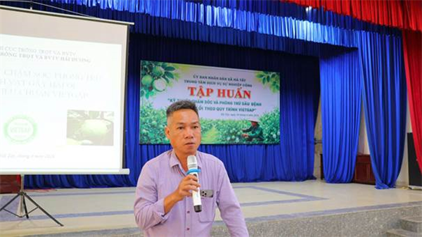 Hà Tây tổ chức tập huấn kỹ thuật, thúc đẩy phát triển vùng ổi VietGAP bền vững