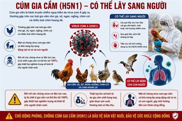 Tăng cường các biện pháp chủ động phòng, chống dịch bệnh cúm gia cầm trên địa bàn xã Hà Tây