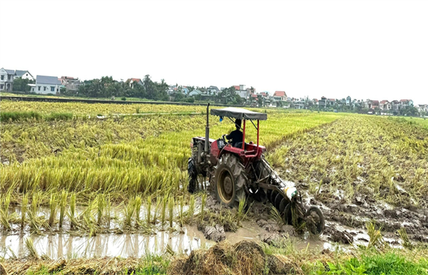 Nông dân Hà Tây tập trung làm đất, sẵn sàng các điều kiện cho vụ Mùa 2026