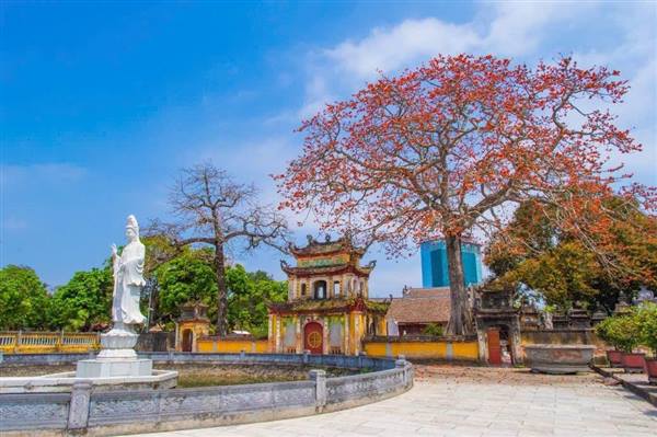 Phường Hải An – Vùng đất cửa biển thiêng liêng nơi hội tụ hồn cốt văn hóa và khát vọng vươn lên
