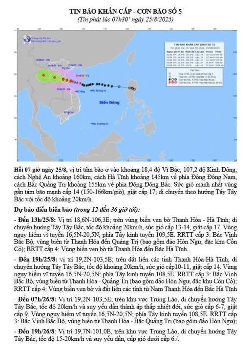 Tin bão khẩn cấp - Cơn bão số 5