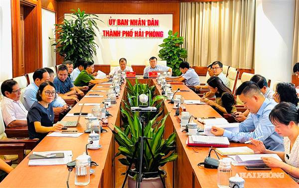 Hải Phòng xem xét bố trí luật sư công tại một số cơ quan có nhu cầu thực tế