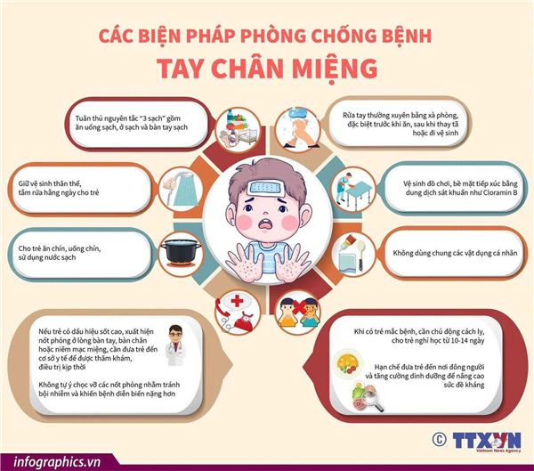 CÁC BIỆN PHÁP PHÒNG CHỐNG BỆNH TAY CHÂN MIỆNG
