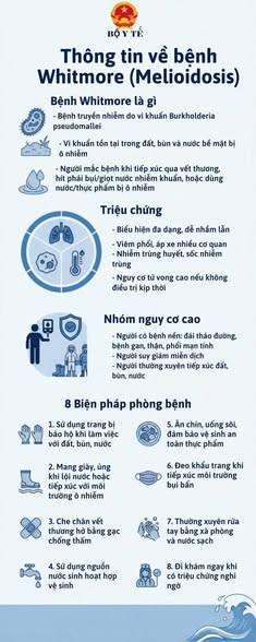 CHỦ ĐỘNG PHÒNG, CHỐNG BỆNH WHITMORE (MELIOIDOSIS) 