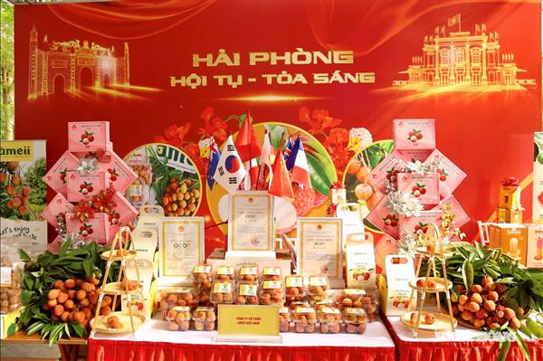 Hấp dẫn các gian hàng văn hóa, ẩm thực tại Lễ hội Hoa Phượng Đỏ 2026 👇👇👇