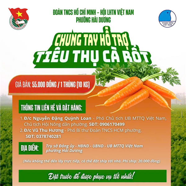 CHUNG TAY HỖ TRỢ TIÊU THỤ CÀ RỐT – LAN TỎA HÀNH ĐỘNG ĐẸP VÌ NÔNG SẢN HẢI PHÒNG 🥕