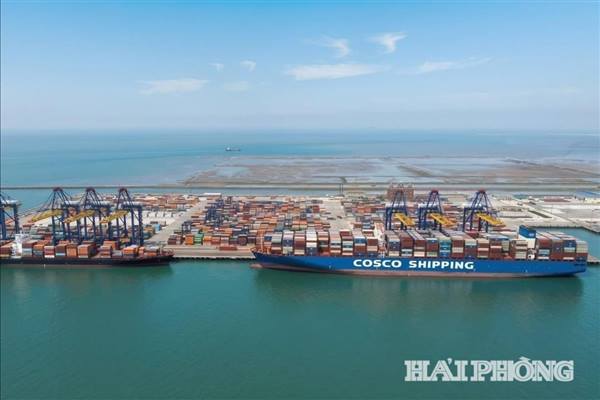 Cụm cảng Hải Phòng xếp thứ 13 thế giới về sự nhộn nhịp 👇