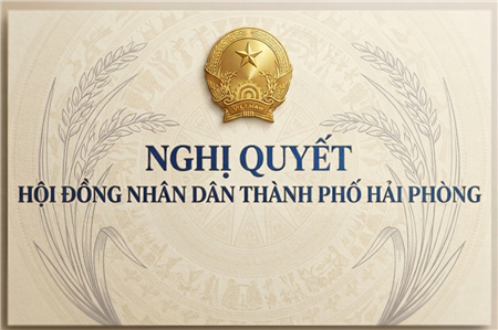 NGHỊ QUYẾT về việc thông qua Danh mục các khu đất nhỏ hẹp do tổ chức, hộ gia đình, cá nhân đang quản lý, sử dụng, nằm xen kẹt trong khu dân cư thực hiện trước việc điều tra, khảo sát, đo đạc, kiểm đếm, xác minh nguồn gốc đất, tài sản gắn liền với đất theo khoản 7 Điều 6 Nghị quyết số 226/2025/QH15 ngày 27 tháng 6 năm 2025 của Quốc hội (đợt 1)
