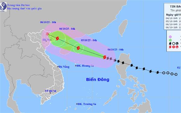 THÔNG BÁO BÃO SỐ 11