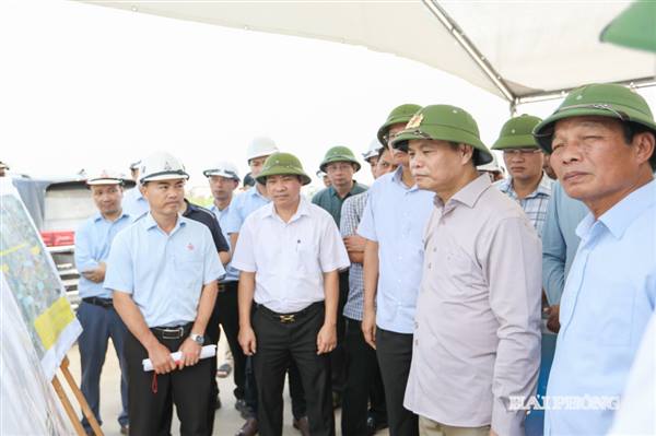 Biến nghị quyết 11 thành kết quả thực chất.