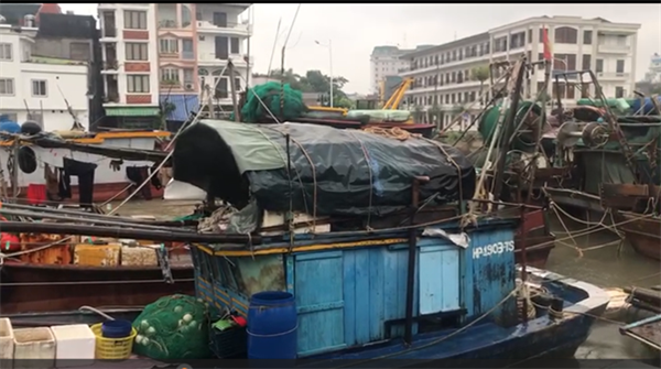 Ủy ban nhân dân phường Hồng Bàng phân công lực lượng hướng dẫn người dân neo đậu thuyền và di dời người dân thuyền chài trên sông Tam Bạc địa phận phường Hồng Bàng đến nơi tạm lánh an toàn, đảm bảo an toàn người và tài sản trong cơn bão số 3 (WIPHA).